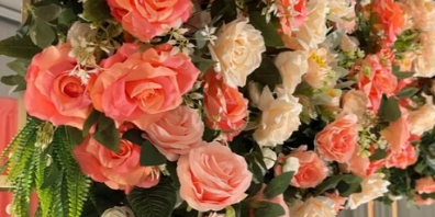 Coral Love Garden